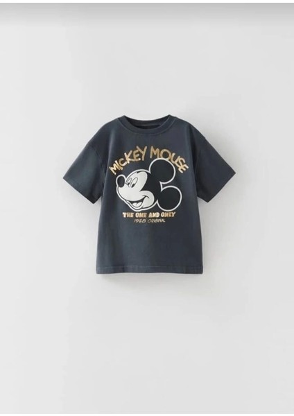 Yeni Sezon Erkek Çocuk Mickey Mouse Şortlu Takım fiyatları