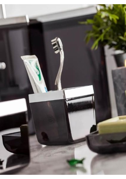Toskana Diş Fırçalık-Şeffaf Siyah modelleri