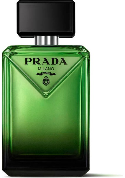 Paradigme Edp 100 ml