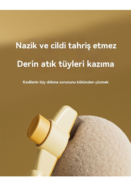Kediler Açık Düğümler (Yurt Dışından) modelleri