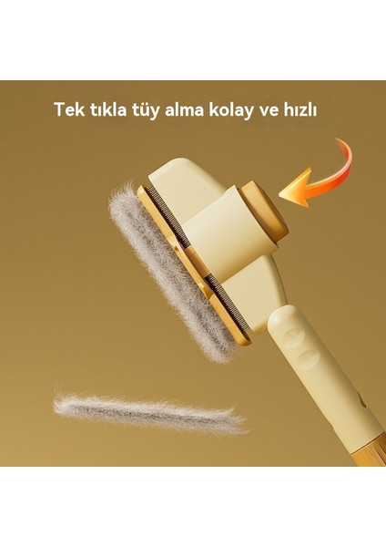Kediler Açık Düğümler (Yurt Dışından) fırsatları