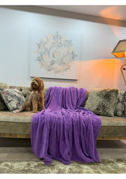 Welsoft 170*200 Peluş Battaniye indirimleri