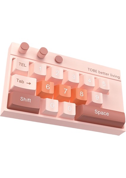 Araç Geçici Park Yeri (Yurt Dışından)