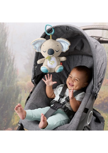 ® Taşınabilir Uyku Arkadaşı Koala Yenidoğanlar Için Yumuşak ve Taşınabilir Fisher-Price Taşınabilir Uyku Arkadaşı Koala Ses Makinesi JBD65 modelleri