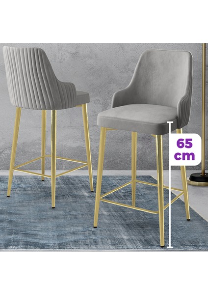Tera Serisi 4 Adet Gri Babyface Kumaş 65 cm Gold Kaplama Ayaklı Bar Sandalyesi fiyatları