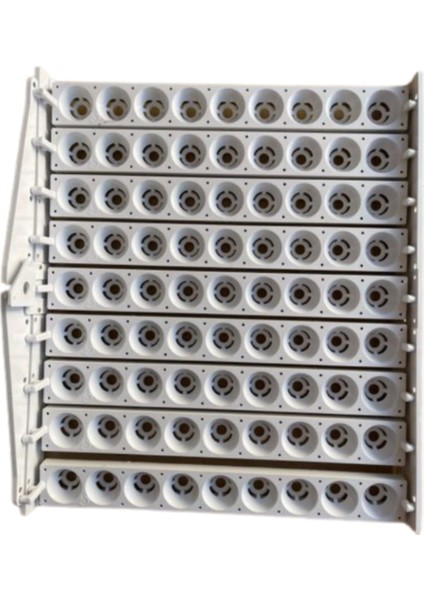 81 Tavuk Yumurtası Viyolu 2.5/3rpm Motor Dahil