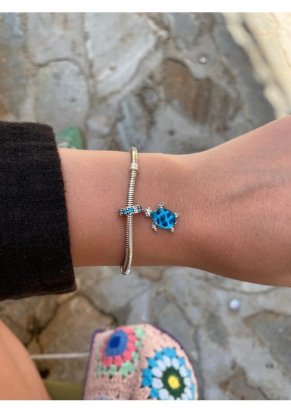 Mavi Sevimli Kaplumbağa Charm fiyatları