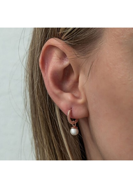 Rose Inci Halka 925 Ayar Gümüş Küpe