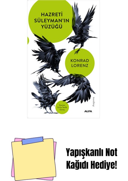 Hazreti Süleyman'ın Yüzüğü + Yapışkanlı Not Kağıdı