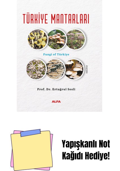 Türkiye Mantarları (Ciltli) + Yapışkanlı Not Kağıdı