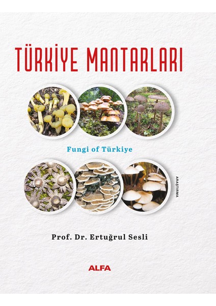 Türkiye Mantarları (Ciltli) + Yapışkanlı Not Kağıdı fiyatları