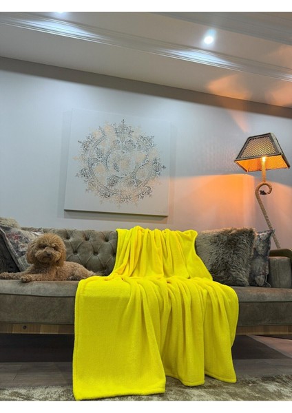 Tek Kişilik Battaniye Yumuşak Doku 170*220 Peluş Wellsoft Sarı fiyatları
