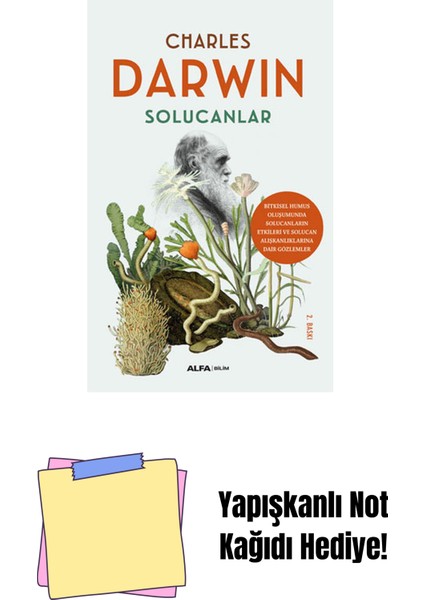 Solucanlar + Yapışkanlı Not Kağıdı