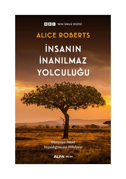 Insanın Inanılmaz Yolculuğu + Yapışkanlı Not Kağıdı fiyatları