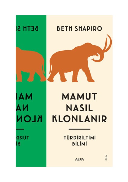 Mamut Nasıl Klonlanır + Yapışkanlı Not Kağıdı fiyatları