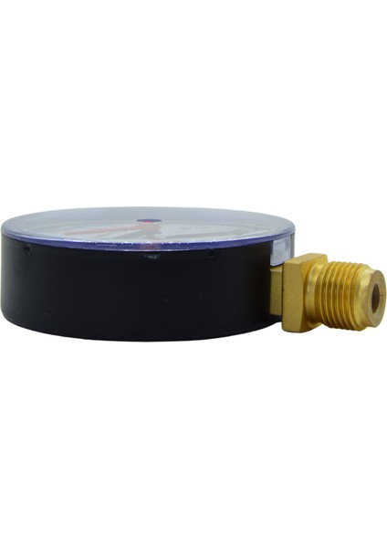 Termomanometre Q100 10BAR 0-120C fiyatları