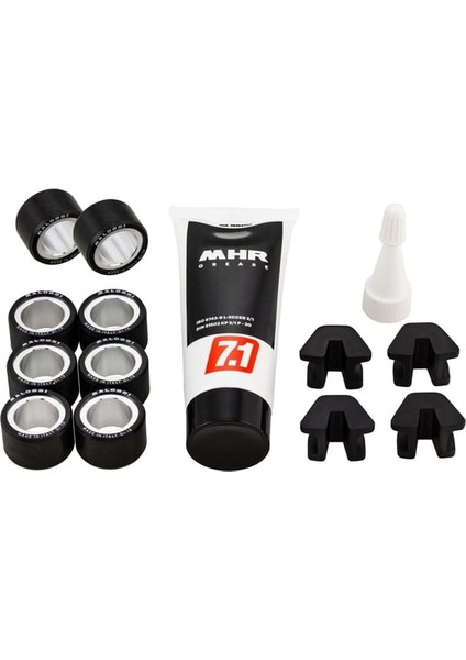 Piaggio Beverly 400 Varyatör Kiti Multivar 2000 E5 (5119126) ( 2021- ) / Malossı fiyatları