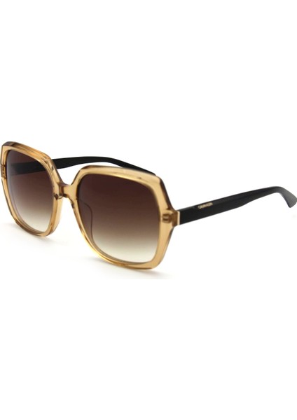 Ck 20541S C259 Kadın Güneş Gözlüğü