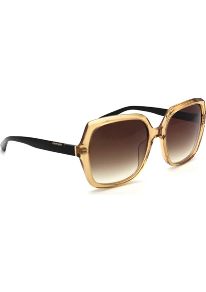 Ck 20541S C259 Kadın Güneş Gözlüğü modelleri