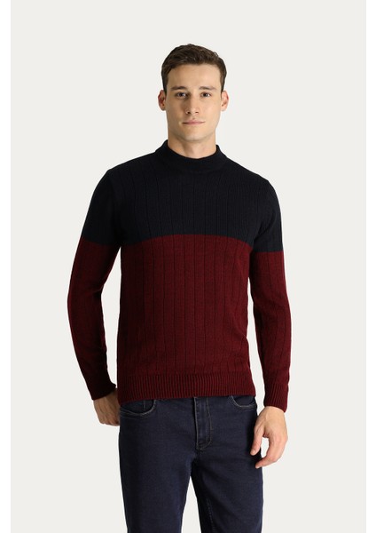 Bisiklet Yaka Slim Fit Dar Kesim Desenli Triko Kazak modelleri