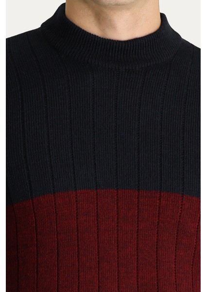 Bisiklet Yaka Slim Fit Dar Kesim Desenli Triko Kazak indirimleri