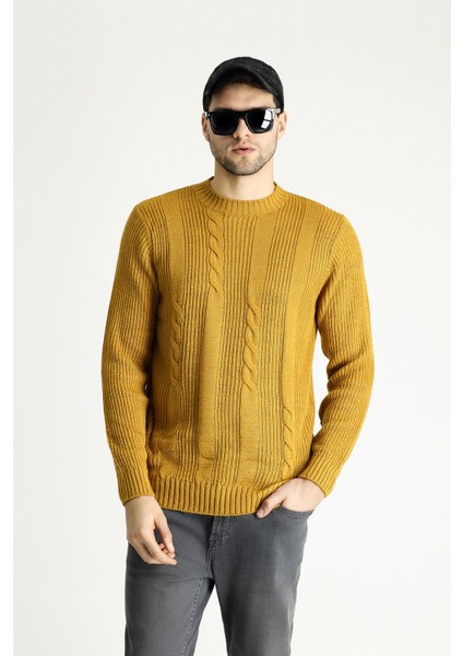 Bisiklet Yaka Slim Fit Dar Kesim Desenli Triko Kazak modelleri