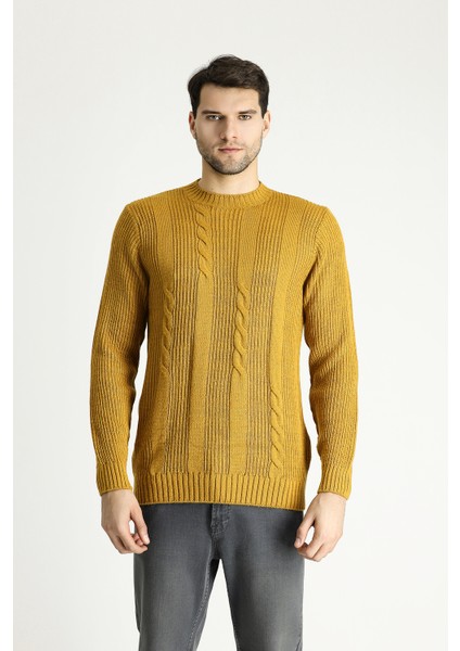 Bisiklet Yaka Slim Fit Dar Kesim Desenli Triko Kazak fırsatları