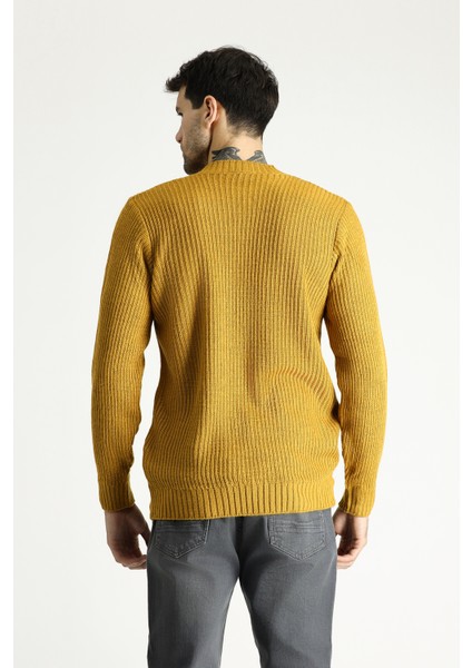 Bisiklet Yaka Slim Fit Dar Kesim Desenli Triko Kazak indirimleri