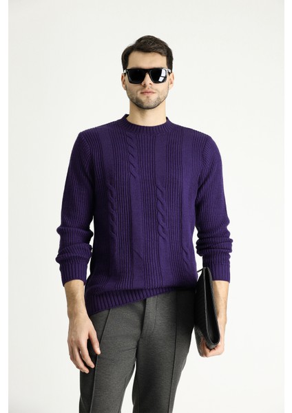 Bisiklet Yaka Slim Fit Dar Kesim Desenli Triko Kazak modelleri