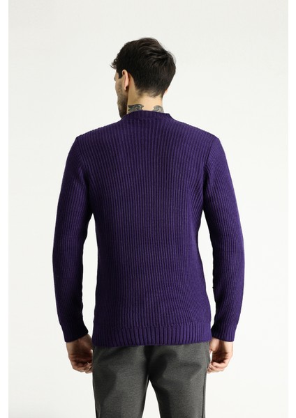 Bisiklet Yaka Slim Fit Dar Kesim Desenli Triko Kazak indirimleri