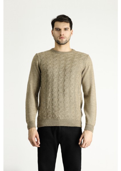 Bisiklet Yaka Slim Fit Dar Kesim Desenli Triko Kazak modelleri