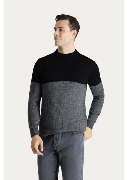 Bisiklet Yaka Slim Fit Dar Kesim Desenli Triko Kazak modelleri