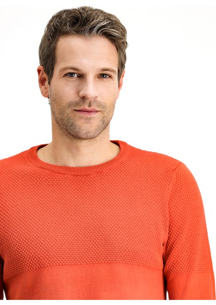 Bisiklet Yaka Slim Fit Dar Kesim Desenli Pamuklu Triko Kazak modelleri