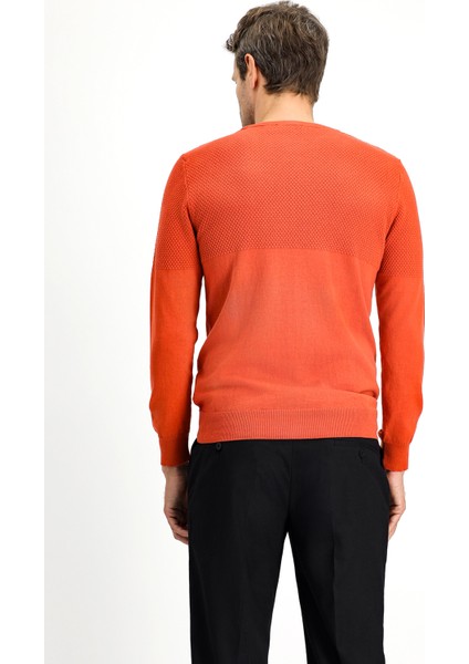 Bisiklet Yaka Slim Fit Dar Kesim Desenli Pamuklu Triko Kazak fırsatları