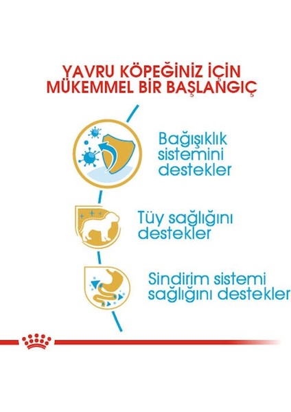 Poodle Puppy Yavru Köpek Maması 3 Kg