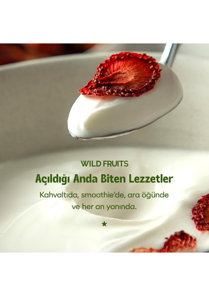 Kurutulmuş Çilek - Soft Dried - Atıştırmalık Kuru Meyve 3 x 50 gr fırsatları