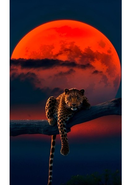 Kanlı Ay ve Leopar Ev Duvar Salon Güzellik Salonu Ofis Dükkan Dekarasyon Kanvas Tablo fiyatları