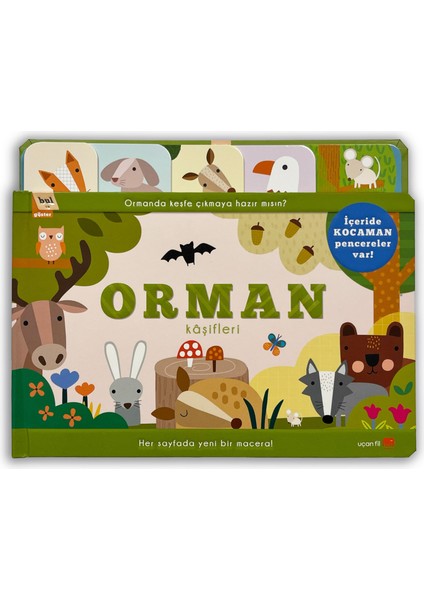 Bul ve Göster Pop-up - Orman Kâşifleri (Büyük Boy)