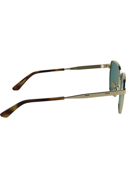 CK25100S-716 Kadın Güneş Gözlüğü