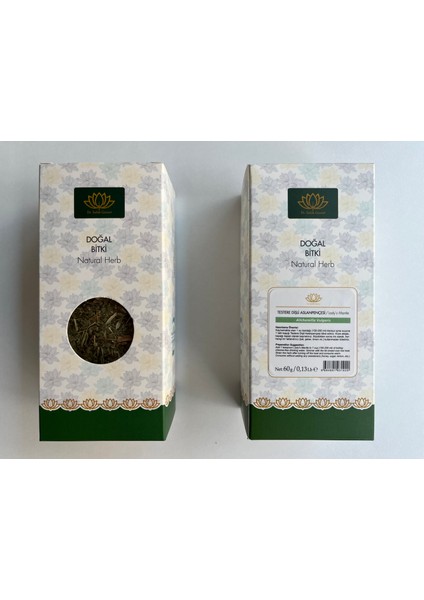 Testere Dişli Aslanpençesi Kutu Bitki 60 Gr