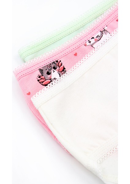 Kız Çocuk Külot 3'lü Baskılı (%96 Pamuk - %4 Elastan) indirimleri