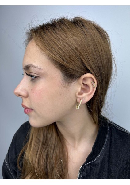 Zirkon Taşlı, Paslanmaz Çelik Küpe 72, Altın Renk fiyatları