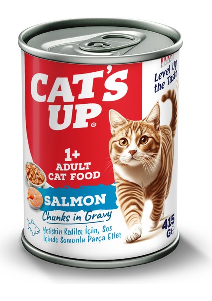 Cats Up Yaş Yetişkin Kedi Maması Somonlu 415GR