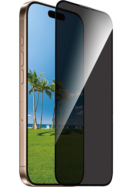 iPhone 17 Pro Uyumlu Wiwu GT-028 Iprivacy Temperli Cam Ekran Koruyucu Siyah