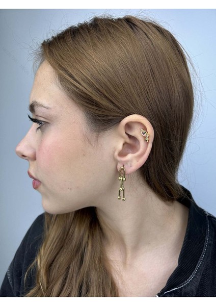 Tiff Model, Sallantılı Model, Paslanmaz Çelik Küpe 336, Altın Renk fiyatları