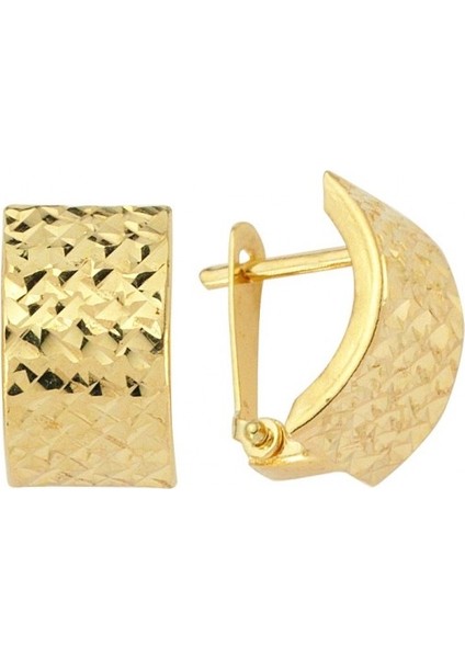 14 Ayar Işıltılı Tasarım Altın Küpe