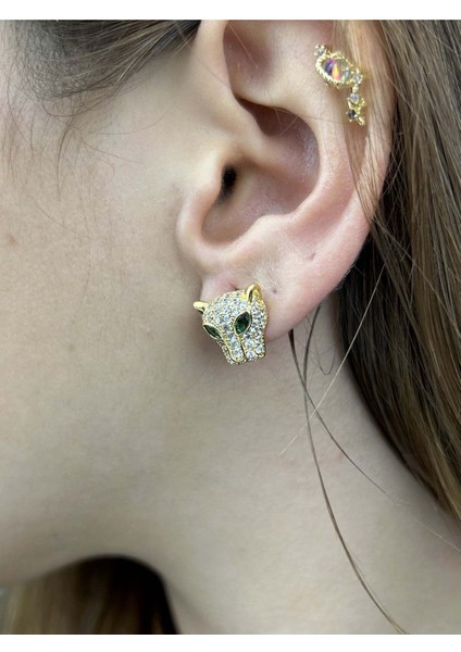 Xxx Zirkon Taşlı, Leopar Model, Paslanmaz Çelik Küpe 51, Kasa Altın Renk