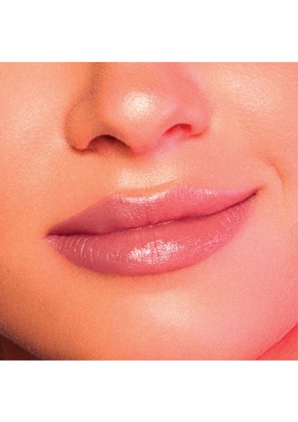 Make-Up Madame Lipstylo The Sheer Parlak Ruj -02 Voila De Nude fiyatları