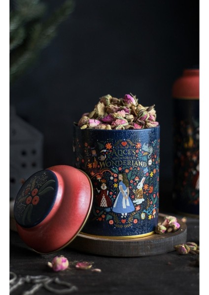 ER080-9A Tales Alices Desenli Baharatlık 0,8 Lt