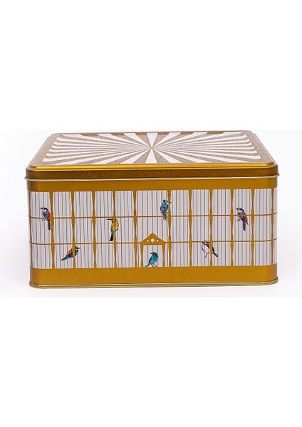 ER029-T7 Bird Cage Desenli Kare Metal Saklama Kabı 24X24 cm